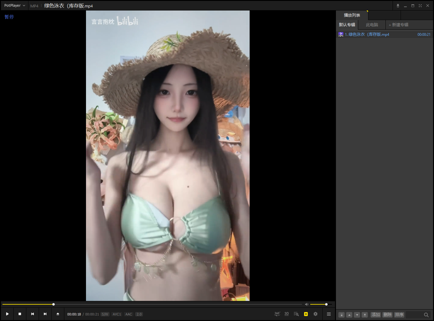 B站 言言抱枕 充电视频 度盘（1.2G）